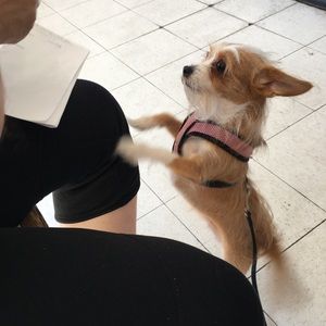 Meet your Posher, Karla